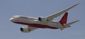 Air India phủ nhận thông tin có thằn lằn trong bữa ăn hãng này phục vụ.