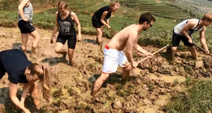 Hình ảnh du khách nước ngoài cuốc đất đang khiến cộng đồng mạng xôn xao