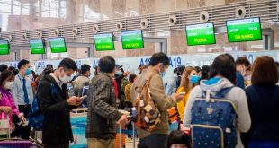 Nhu cầu vận chuyển hàng không vào dịp Tết hàng năm đều tăng cao